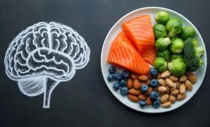 Rekomendasi Makanan Penambah Daya Ingat dan Konsentrasi